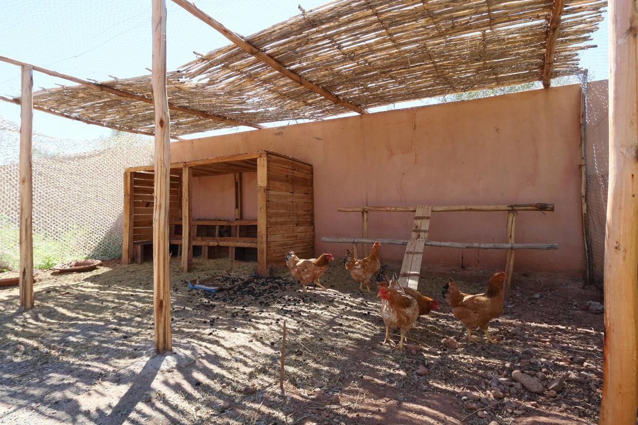 Villa Kristy Marrakesh Eksteriør bilde